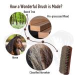 Euvia 100% Horsehair Shoe Brush - 7" Solid Beech Wood Leather Shine Brush for Boots, Shoes, & Car Interiors - Soft Polishing Bristles for Buffing & Cleaning (7" Brush 1pc)