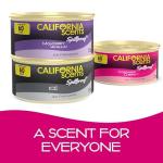 California Scents Coronado Cherry Air Freshener Cans