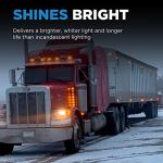 Wagner Lighting H4651 Standard Multi-Purpose Light Bulb Box of 1