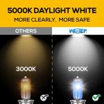 H11 Halogen Headlight Bulbs, Pack of 2