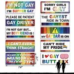 Frienda 10 Pcs Bumper Decals Funny LGBT Stickers Rainbow Bumper Prank Car Stickers Colorful Car Accessories for Truck Vehicle Luggage Window Refrigerator(Magnetic,Stylish Style)
