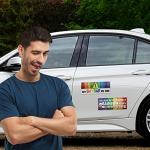 Frienda 10 Pcs Bumper Decals Funny LGBT Stickers Rainbow Bumper Prank Car Stickers Colorful Car Accessories for Truck Vehicle Luggage Window Refrigerator(Magnetic,Stylish Style)