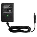 Universal 6V Bumper Car Charger for Flybar, Kidzone,6V Battery Charger for Ride on Car Best Choice Products SUV Powered Accessories (6Volt 1A)