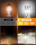 Super Bright H11 9005 LED Light Bulbs Combo