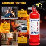 2 Pack ABC Dry Chemical Fire Extinguishers, 2.5 lb 1A:10B:C Rating for Home, Vehicle, Boat, Quick Release Handle, Compact & Portable Dry Powder Extinguisher