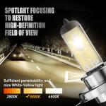 OKOENIEO 9003/H4 Halogen Headlight Bulb, 12V 55W Head Lamps, 4000 Lumens, 3800K，H4 Head Light Bulbs for Car, High and Low Beam，Automotive Light Bulbs，Pack of 2