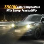 OKOENIEO 9003/H4 Halogen Headlight Bulb, 12V 55W Head Lamps, 4000 Lumens, 3800K，H4 Head Light Bulbs for Car, High and Low Beam，Automotive Light Bulbs，Pack of 2