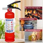 Compact 2.5 lb Fire Extinguisher for Vehicle and Home
