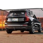 Colorful Floral License Plate Frame for Cars