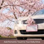 Fashion 2 Pack Matte Cherry Baby Pink License Plate Frames, Stainless Steel Car License Plate Cover Car Accessories with Screw Caps (Pink)