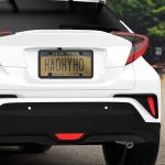 NGHEY Black 2PC Personalized License Plate Frame with Matching Screw Cap Screws for Easy Installation