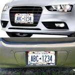 Watercolor Cherry Blossom License Plate Frames - 2 Pack