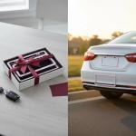 Cherry Blossom Pink License Plate Frames - 2 Pack