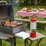 Ougist 2.5lb Vehicle & Home Fire Extinguishers