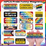 16PCS Funny Pride Gay Car Bumper Magnets: Bulk Magnetic Rainbow Decals Decorations for LGBT Parade Decor, Refrigerator, Truck, Prank Gift Ideas(Style 2)