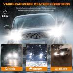 RCJ H11 Cool White Fog Light Bulbs - 2 Pack