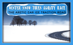 Winter Snow Tires for Arctic Ice Traction
