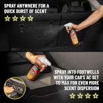 Chemical Guys Signature Scent Air Freshener 16 oz
