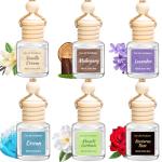 Vetuslumen 6 Pack Hanging Car Air Fresheners