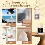 Vetuslumen 6 Pack Hanging Car Air Fresheners