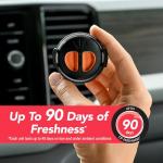 Hawaiian Sunrise Mini Car Air Fresheners - 2 Pack