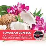 Hawaiian Sunrise Mini Car Air Fresheners - 2 Pack