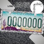 Barbed Wire Coconut Design License Plate Frame Set