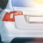 Barbed Wire Coconut Design License Plate Frame Set