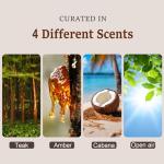 Sanfur Stone Car Air Freshener Clips - 4 Pack