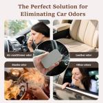 Sanfur Stone Car Air Freshener Clips - 4 Pack