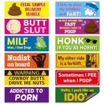 BkeeCten 12pcs Funny Car Magnet, Prank Magnetic Bumper Decals for Adult Waterproof Car Hilarious Bumper Sticker Reusable Joke Funny Bumper Warming Sign for Car Truck Vehicle