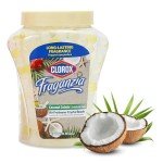 Coconut Colada Air Freshener Beads - 12oz