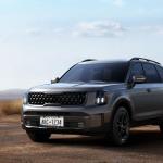 2Pcs Printed Aluminum Alloy License Plate Frames and 1 Set of Printed Valve Caps,Sturdy and Rust-Proof Aluminum Brackets,Unisex Car License Plate Frames,Screws Included. (Black Leopard Print)