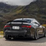 2Pcs Printed Aluminum Alloy License Plate Frames and 1 Set of Printed Valve Caps,Sturdy and Rust-Proof Aluminum Brackets,Unisex Car License Plate Frames,Screws Included. (Black Leopard Print)