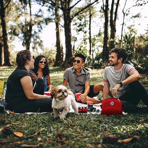 Be Smart Get Prepared First Aid Kit, 303 Piece: Clean, Treat, Protect Minor Cuts, Scrapes. Home, Office, Car, School, Business, Travel, Emergency, Survival, Hunting, Outdoor, Camping, Sports