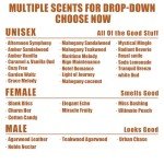 Unisex Amber Sandalwood Car Air Freshener Hanging