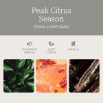 Drift Car Grove Scent Air Freshener Kit