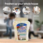 Coconut Colada Air Freshener Beads - 12oz