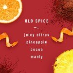 Old Spice Febreze Car Air Freshener Vent Clips