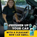 Meguiar's Whole Car Odor Eliminator Spray Set