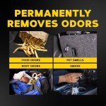 Meguiar's Whole Car Odor Eliminator Spray Set