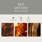 Drift Car Air Freshener - Stone Air Freshener Car Odor Eliminator - Long Lasting Scent - Auto Accessories - Metal Clip - Essential Oils - Clean Ingredients - Teak Scent Starter Kit