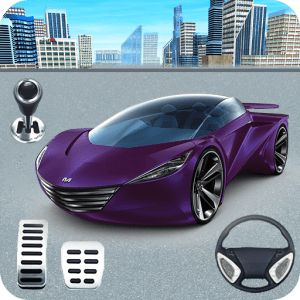 Crazy for Race: Car Racing Game