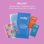 Welly Comprehensive First Aid Kit - FSA Eligible - Adhesive Bandages, Tape and Non-Stick Pads, Butterfly Strips, Cleansing Wipes, Ointments, Gauze, and More - 240 Pieces