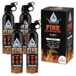 Emergency Fire Extinguisher (2-Pack) – Portable & Compact for Home, Car, Kitchen, Garage, Campfire – Fights Electrical, Fabric & Grease Fires – Non-Toxic, Easy to Use – Wall Mount Included