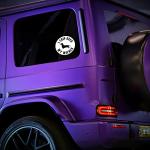 I Trip Over My Wiener Dog Dachshund Decal Vinyl Sticker Auto Car Truck Wall Laptop | White | 5.5" x 5.5"