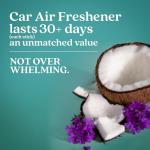 Enviroscent Non-Toxic* Car Air Freshener Auto Stix® - Scents Made Safer - Enjoy Fragrance Lasts Up to 180 Days - Includes Auto Stix® Diffusers & Elastic Loops - Seaside Coconut & Verbena (Pack of 3)