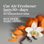 Enviroscent Non-Toxic* Car Air Freshener Auto Stix® - Scents Made Safer - Enjoy Fragrance Lasts Up to 180 Days - Includes Auto Stix® Diffusers & Elastic Loops - Black Vanilla & Mandarin (Pack of 3)