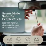 Enviroscent Non-Toxic* Car Air Freshener Auto Stix® - Scents Made Safer - Enjoy Fragrance Lasts Up to 180 Days - Includes Auto Stix® Diffusers & Elastic Loops - Black Vanilla & Mandarin (Pack of 3)