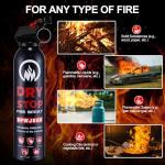 Dry Stop Fire Extinguisher Spray - 2 Packs Portable Fire Extinguisher with Mount for Boat Vehicle Home Car Garage Kitchen, 600g Dry Powder Fire Extinguishers for Electrical Grease Battery Fires & More